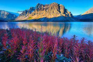 super visa canada